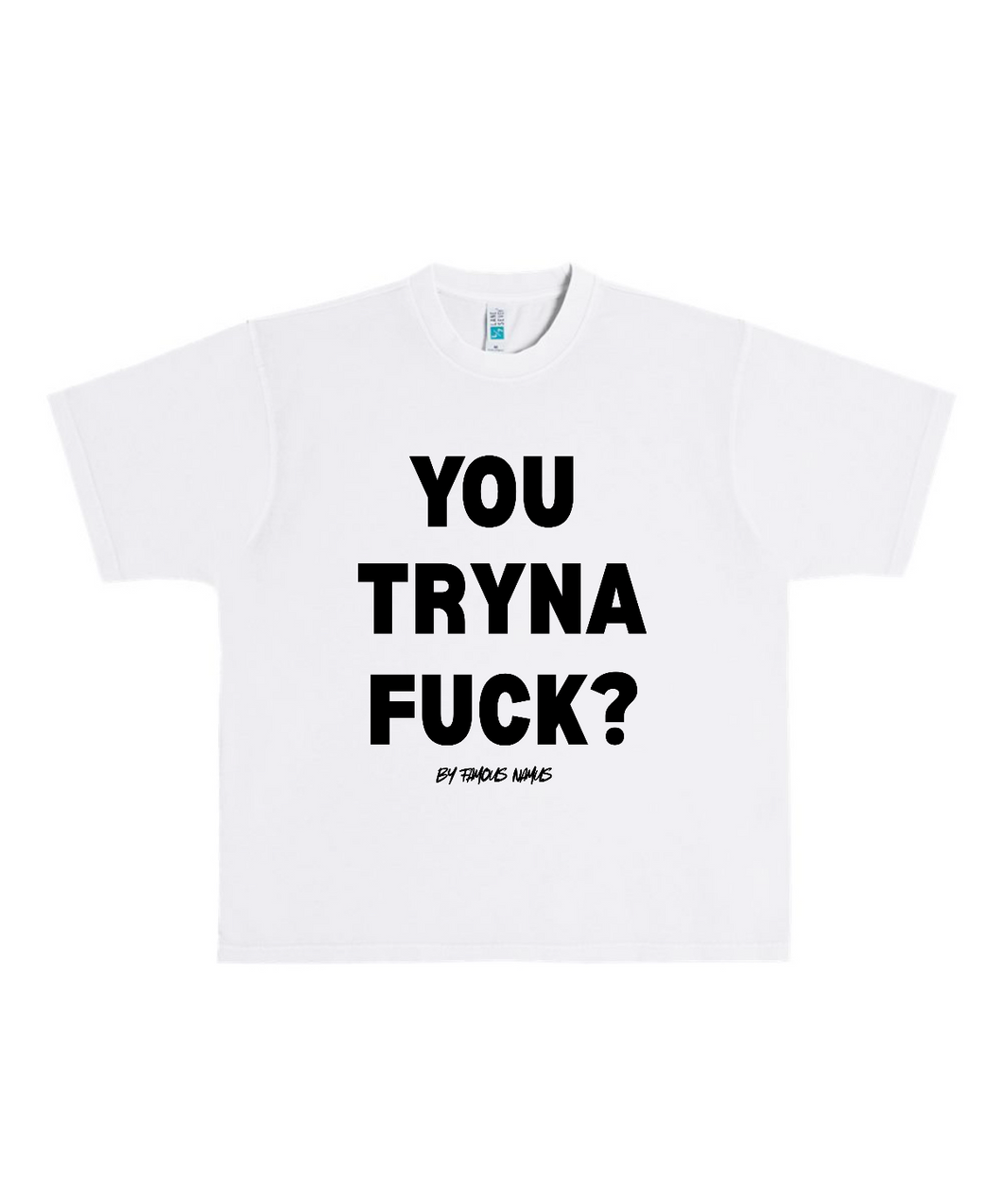 YOU TRYNA FUCK? Heavyweight T Shirt